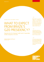 What to expect from Brazil's G20 presidency?