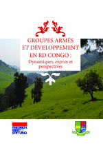 Groupes armés et développement en RD Congo