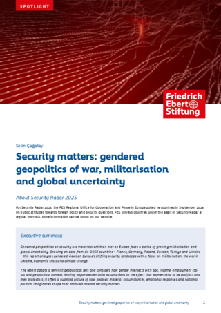 Security matters: gendered geopolitics of war, militarisation and global uncertainty