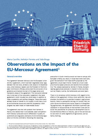 Observations on the impact of the EU-Mercosur agreement